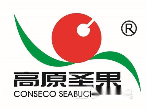 高原圣果沙棘制品 同順廣告傳媒，讓健康與品牌同頻共振